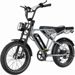 RCB RK29 E-Bike, 48V 13Ah Akku, 40-60 km Reichweite, 20x4,0 Zoll Reifen