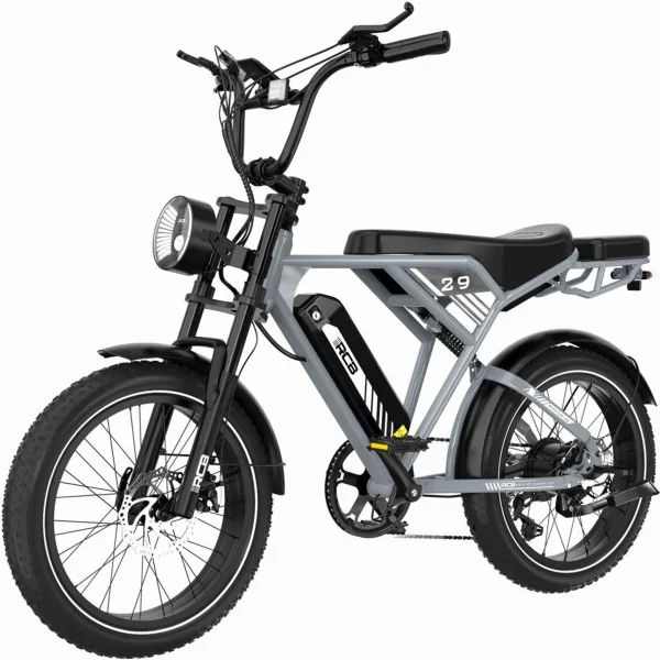 RCB RK29 E-Bike, 48V 13Ah Akku, 40-60 km Reichweite, 20x4,0 Zoll Reifen