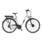 Telefunken RC826 E-Bike Cityrad, 250 W Motor, 474 Wh Akku, 7-Gang-Schaltung