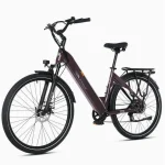 TTGO E-Bike C3 SE, 120 km Reichweite, 25 kg leicht, 5-Gang Shimano