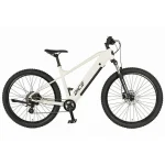 Prophete Dice 1.8 E-Bike, 250 W Motor, 100 km Reichweite, 8-Gang Schaltung