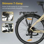 TTGO E-Bike Cityrad 28 Zoll, 150 km Reichweite, 650 Wh Batterie - Image 2
