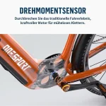 Onesport OT05pro E-Bike Cityrad, 36V 810Wh, 22,5Ah, 7-Gang Shimano - Image 3