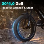 RCB RK29 E-Bike, 48V 13Ah Akku, 40-60 km Reichweite, 20x4,0 Zoll Reifen - Image 3