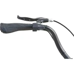 Prophete Geniesser 1.0 Pedelec, 250 W Motor, 100 km Reichweite - Image 3