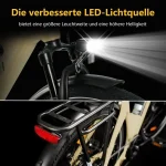 TTGO E-Bike Cityrad 28 Zoll, 150 km Reichweite, 650 Wh Batterie - Image 3