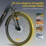 TTGO C3 2.0 E-Bike, 250W Motor, 150 km Reichweite, 25 kg Gewicht - Image 3