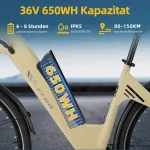 TTGO E-Bike Cityrad 28 Zoll, 150 km Reichweite, 650 Wh Batterie - Image 4