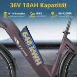 TTGO E-Bike C3 SE, 120 km Reichweite, 25 kg leicht, 5-Gang Shimano - Image 4
