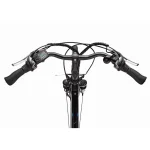 Telefunken Expedition XT481 E-Bike, Reichweite bis 100 km, 28 Zoll, Pedelec - Image 4