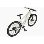 Prophete Dice 1.8 E-Bike, 250 W Motor, 100 km Reichweite, 8-Gang Schaltung - Image 4
