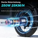 RCB RK29 E-Bike, 48V 13Ah Akku, 40-60 km Reichweite, 20x4,0 Zoll Reifen - Image 4