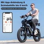 RCB RK29 E-Bike, 48V 13Ah Akku, 40-60 km Reichweite, 20x4,0 Zoll Reifen - Image 5