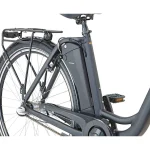 Prophete Geniesser 1.0 Pedelec, 250 W Motor, 100 km Reichweite - Image 5